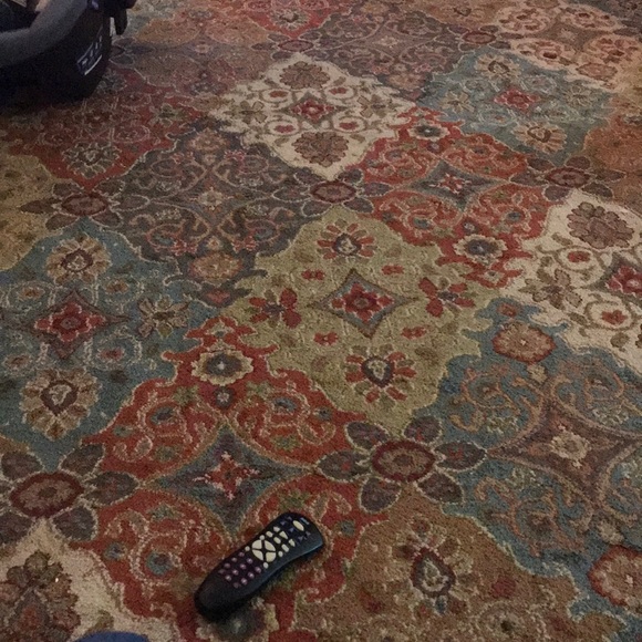 Meet your Posher, Ivy - Picture 1 of 1